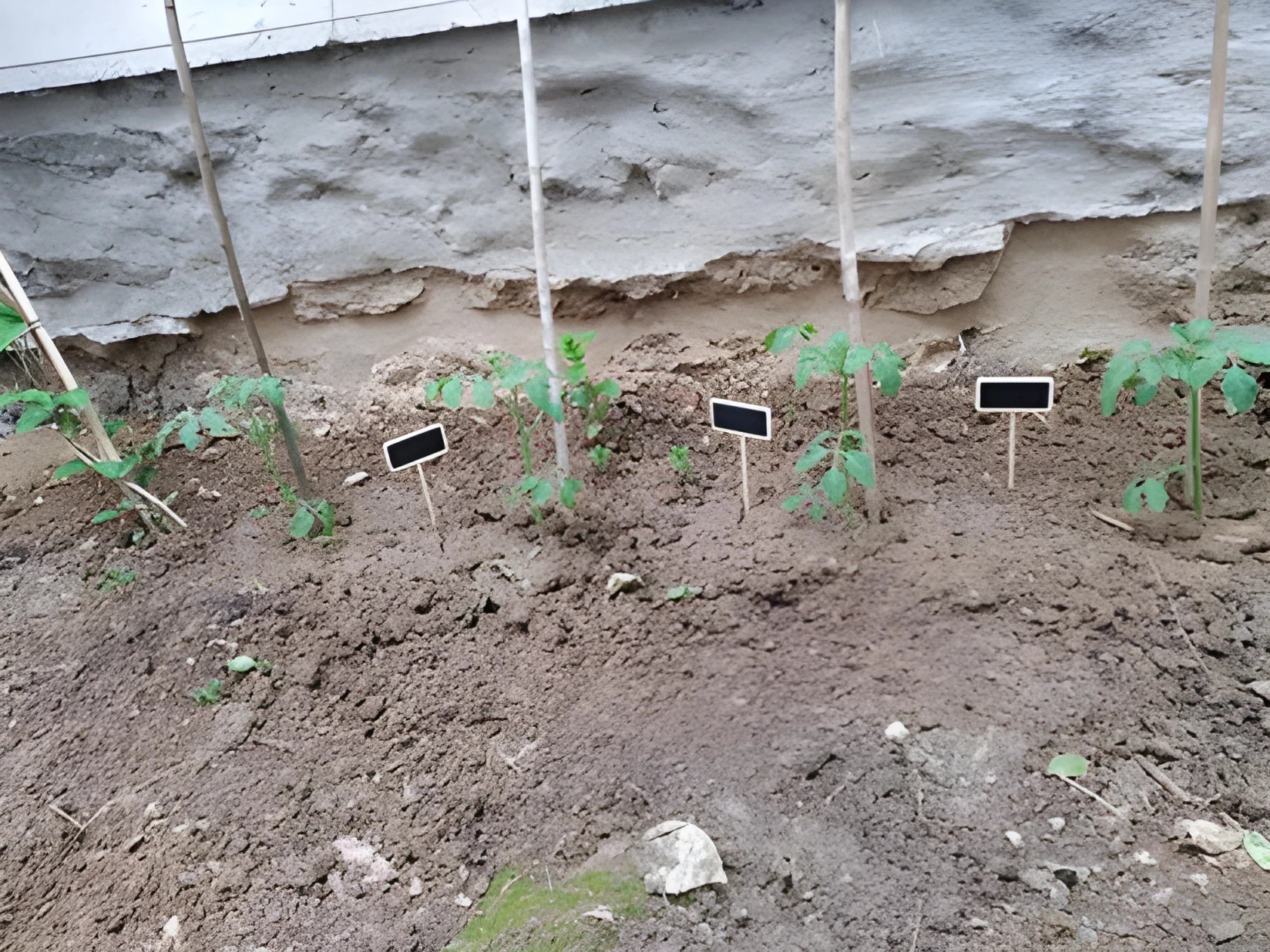 Tout commence par une graine